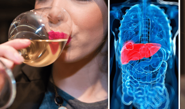 What Happens to Your Liver When You Drink Too Much Alcohol