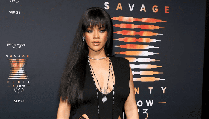 Facts about Rihanna her Income and Net Worth